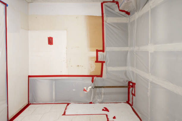 Best Environmental Consulting for Mold Prevention  in Chino Valley, AZ