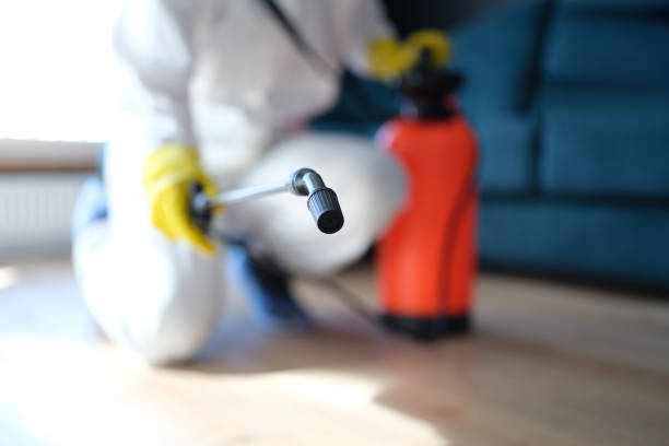 Best Mold Documentation for Insurance Claims  in Chino Valley, AZ